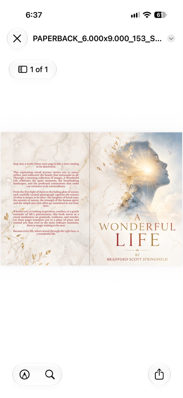 A Wonderful Life — cover design by Publishing Core