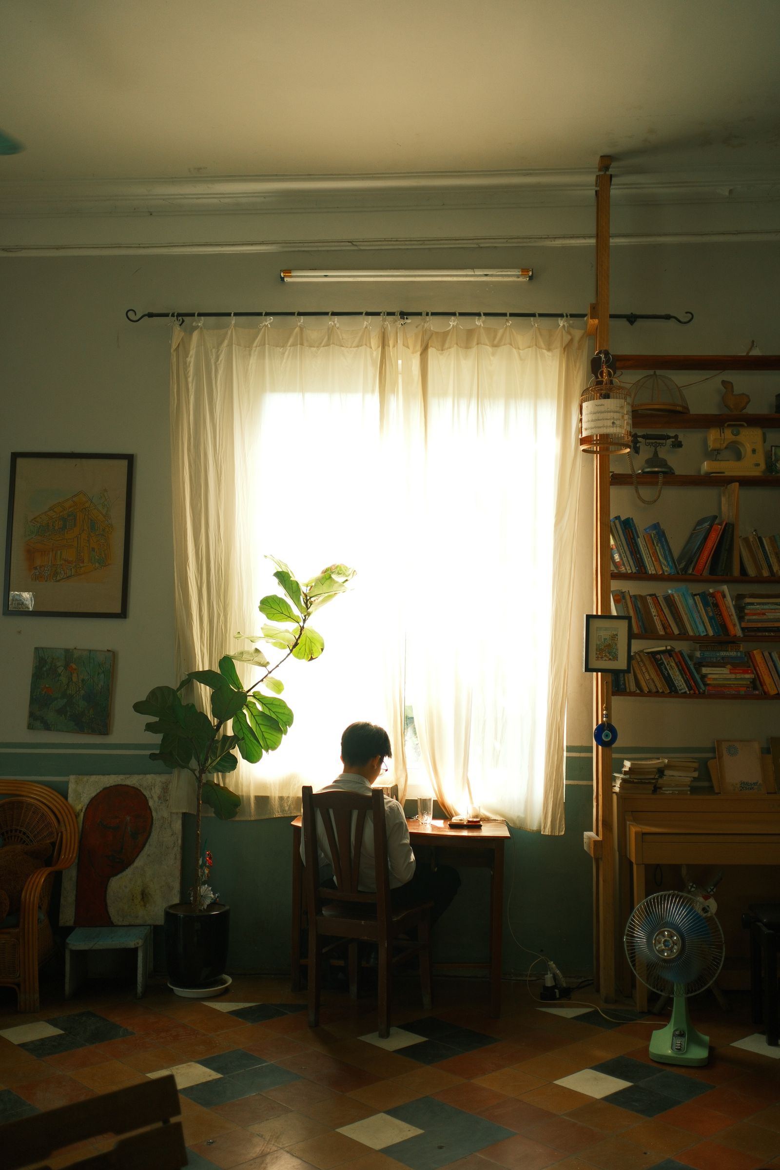 A writer working beside a sunlit window with books and plants
